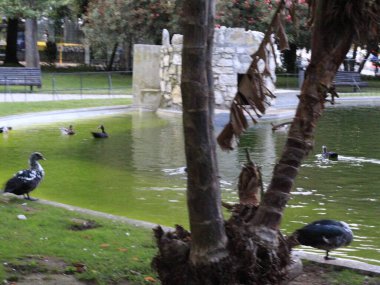 Campo dos Marwheels da Patria 'da. 10 Eylül 2021, Lizbon, Portekiz: Portekiz 'in başkenti Lizbon' daki Arroios ilçesinde, Campo dos Marwheels da Patria 'da 10 Eylül 2021 Cuma günü insan hareketi.