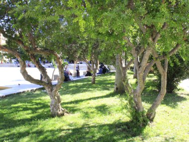 Lizbon 'daki Martim Moniz Meydanı. 10 Eylül 2021, Lizbon, Portekiz: Lizbon 'daki Martim Moniz Meydanı' nda hareketlilik, 28 numaralı teleferiğin başlangıç noktası, en eski bölümden geçen en büyüleyici yer. 