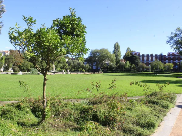 Int Giardino Del Palazzo Marques Pombal Oeiras Portogallo Settembre 2021 — Foto Stock