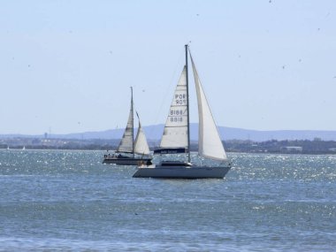 (Denizciler Lizbon 'daki Tejo Nehri' nin sularında yüzerler. 19 Eylül 2021, Lizbon, Portekiz: Denizciler, 19 Eylül 2021 'de Avrupa yazında Lizbon' da Tejo Nehri 'nin sularında yüzmek için güzel rüzgarlarla güneşli bir günün tadını çıkarıyorlar..