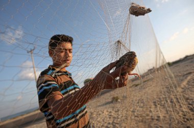 (Filistinliler Gazze 'nin Han Yunus plajında göçmen kuşları yakalıyorlar. 18 Eylül 2021, Gazze, Filistin: Filistinliler 18 Cumartesi günü Gazze Şeridi 'nin güneyindeki Han Yunus plajında yakalanan bıldırcını kaldırdılar). 