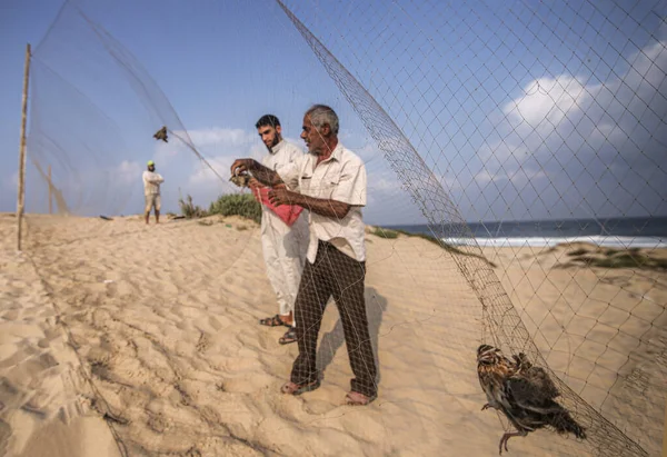 Int Palestinos Capturam Aves Migratórias Praia Khan Yunis Gaza Setembro — Fotografia de Stock