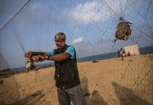 Filistinliler Gazze Nin Han Yunus Plajında Göçmen Kuşları Yakalıyorlar Eylül — Stok fotoğraf