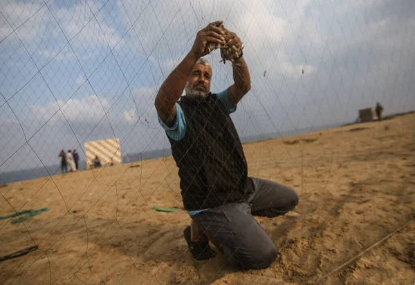 Int Palestinesi Catturano Uccelli Migratori Sulla Spiaggia Khan Yunis Gaza — Foto Stock