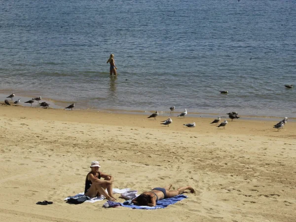 카사스의 해변에서 의움직임 2017 Cascais Portugal Bathers Movement Conceicao Beach — 스톡 사진