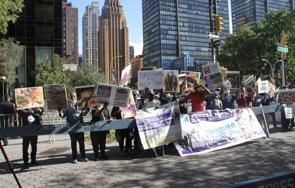 Nijeryalılar Genel Kurulunun Oturumunda Protesto Etti Eylül 2021 New York — Stok fotoğraf