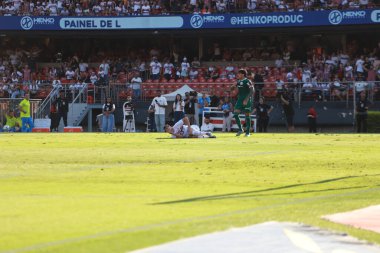 Sao Paulo (SP), 10 / 05 / 2025 - Brasileirao / Sao Paulo vs Palmeiras - Oyuncu Tapia, Brezilya Serie A futbol şampiyonasında Sao Paulo ile Palmeiras arasında oynanan maçta ikinci golü attı. (Fabricio bomjardim\ Yeni 2)