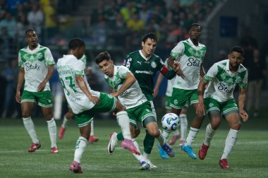 Sao Paulo (SP), 10/11/2025 - Brasileirao/Palmeiras vs Juventude - match between Palmeiras and Juventude, for the 12th round of the Brazilian football championship, on Saturday night, October 11, 2025, at Allianz Parque, in Sao Paulo-SP.