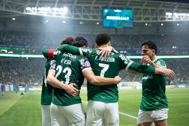 Sao Paulo (SP), 10/11/2025 - Brasileirao/Palmeiras vs Juventude - Raphael Veiga celebrates his goal in the match between Palmeiras and Juventude, for the 12th round of the Brazilian Football Championship, on Saturday night, October 11, 2025