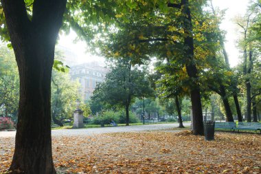 Milan (Italy), 10/11/2025- Parco Palestro/Milan/Nature- There was a large movement of people at Parco Palestro in Milan, on the mild afternoon of this Saturday, October 11, 2025. (Edson De Souza/Thenews2) 
