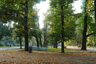 Milan (Italy), 10/11/2025- Parco Palestro/Milan/Nature- There was a large movement of people at Parco Palestro in Milan, on the mild afternoon of this Saturday, October 11, 2025. (Edson De Souza/Thenews2) 