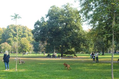 Milan (Italy), 10/11/2025- Parco Palestro/Milan/Nature- There was a large movement of people at Parco Palestro in Milan, on the mild afternoon of this Saturday, October 11, 2025. (Edson De Souza/Thenews2) 