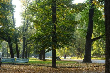 Milan (Italy), 10/11/2025- Parco Palestro/Milan/Nature- There was a large movement of people at Parco Palestro in Milan, on the mild afternoon of this Saturday, October 11, 2025. (Edson De Souza/Thenews2) 