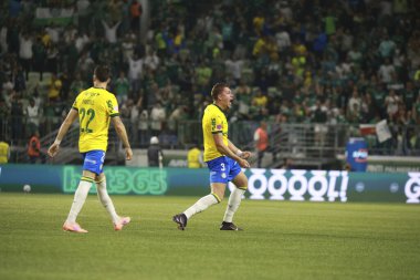 Sao Paulo (SP), 10/15/2025 - Brasileirao/Palmeiras vs Red Bull Bragantino  Bruno Fuchs of Palmeiras scores and celebrates his goal in the match between Palmeiras and Red Bull Bragantino (Leco Viana/Thenews2)