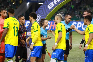 Sao Paulo (SP), 10/15/2025 - Brasileirao/Palmeiras vs Red Bull Bragantino - match between Palmeiras and Red Bull Bragantino, for the 28th round of the Brazilian football championship, October 15, 2025 (Leco Viana/Thenews2)