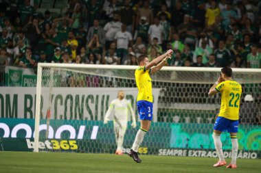 Sao Paulo (SP), 10/15/2025 - Brasileirao/Palmeiras vs Red Bull Bragantino  Bruno Fuchs of Palmeiras scores and celebrates his goal in the match between Palmeiras and Red Bull Bragantino (Leco Viana/Thenews2)