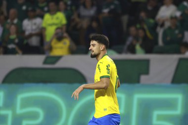 Sao Paulo (SP), 10/15/2025 - Brasileirao/Palmeiras vs Red Bull Bragantino  Flaco Lopez of Palmeiras scores and celebrates his goal in the match between Palmeiras and Red Bull Bragantino, for the 28th round (Leco Viana/Thenews2)