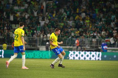 Sao Paulo (SP), 10/15/2025 - Brasileirao/Palmeiras vs Red Bull Bragantino  Bruno Fuchs of Palmeiras scores and celebrates his goal in the match between Palmeiras and Red Bull Bragantino (Leco Viana/Thenews2)