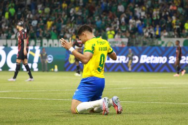 Sao Paulo (SP), 10/15/2025 - Brasileirao/Palmeiras vs Red Bull Bragantino  Vitor Roque of Palmeiras scores and celebrates his second goal in the match between Palmeiras and Red Bull Bragantino (Leco Viana/Thenews2)