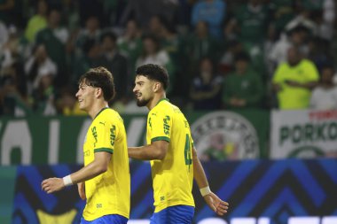 Sao Paulo (SP), 10/15/2025 - Brasileirao/Palmeiras vs Red Bull Bragantino  Flaco Lopez of Palmeiras scores and celebrates his goal in the match between Palmeiras and Red Bull Bragantino, for the 28th round (Leco Viana/Thenews2)