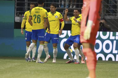 Sao Paulo (SP), 10/15/2025 - Brasileirao/Palmeiras vs Red Bull Bragantino  Vitor Roque of Palmeiras scores and celebrates his goal in the match between Palmeiras and Red Bull Bragantino, for the 28th round (Leco Viana/Thenews2)