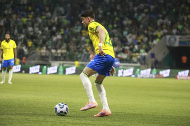 Sao Paulo (SP), 10/15/2025 - Brasileirao/Palmeiras vs Red Bull Bragantino - Player Piquerez, during the match between Palmeiras and Red Bull Bragantino, for the 28th round of the Brazilian Football Championship (Leco Viana/Thenews2)