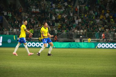 Sao Paulo (SP), 10/15/2025 - Brasileirao/Palmeiras vs Red Bull Bragantino  Bruno Fuchs of Palmeiras scores and celebrates his goal in the match between Palmeiras and Red Bull Bragantino (Leco Viana/Thenews2)