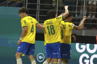 Sao Paulo (SP), 10/15/2025 - Brasileirao/Palmeiras vs Red Bull Bragantino  Vitor Roque of Palmeiras scores and celebrates his goal in the match between Palmeiras and Red Bull Bragantino, for the 28th round (Leco Viana/Thenews2)