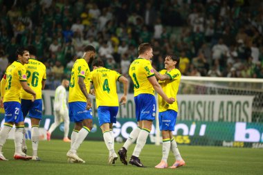 Sao Paulo (SP), 10/15/2025 - Brasileirao/Palmeiras vs Red Bull Bragantino  Bruno Fuchs of Palmeiras scores and celebrates his goal in the match between Palmeiras and Red Bull Bragantino (Leco Viana/Thenews2)