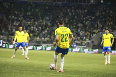 Sao Paulo (SP), 10/15/2025 - Brasileirao/Palmeiras vs Red Bull Bragantino - Player Piquerez, during the match between Palmeiras and Red Bull Bragantino, for the 28th round of the Brazilian Football Championship (Leco Viana/Thenews2)