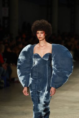 sao paulo (sp), 10 / 19 / 2025 - moda / spfw / fauve defilesi Sao Paulo moda haftasında - spfw n60, Pacubra, ibirapuera parkında, Sao Paulo, bu pazar, Ekim 19, 2025. (Fabricio Bomjardim / The Newws2) 