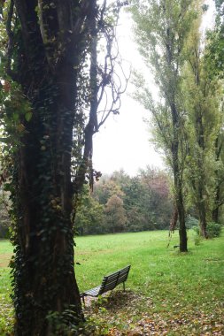 Milan (İtalya), 10 / 21 / 2025 - Daha düşük sıcaklıkla, Parco Nord, Milano 'daki hareket 21 Ekim 2025 Salı günü öğleden sonra daha az sıklaştı. (Edson De Souza / Yeniler 2) 