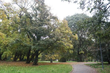 Milan (İtalya). 10 / 29 / 2025 - Parco Lambro, Milano 'nun en büyük parklarından biri. (Edson de souza / the newws2)