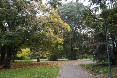 Milan (İtalya). 10 / 29 / 2025 - Parco Lambro, Milano 'nun en büyük parklarından biri. (Edson de souza / the newws2)