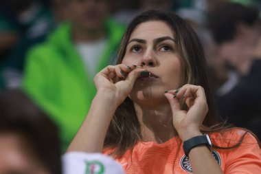Sao Paulo (SP), 10 / 30 / 2025 - Palmeiras ve LDU Quito arasındaki maçtan önceki taraftarlar, Conmebol Libertadores yarı finalinin ikinci ayağı, 30 Ekim 2025 Perşembe gecesi Allianz Parque 'da (leco viana / thenews2)