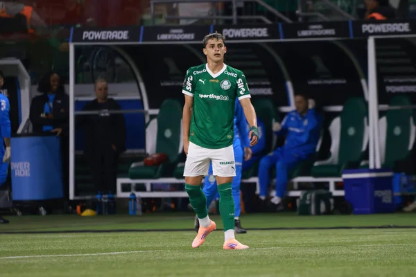 Palmeiras 'tan Sosa, 30 Ekim 2025 Perşembe gecesi Sao Paulo-SP' deki Allianz Parque 'da oynanan Conmebol Libertadores yarı finalinin ikinci ayağı için Palmeiras ve LDU Quito arasındaki maçta gol atıyor ve golünü kutluyor..