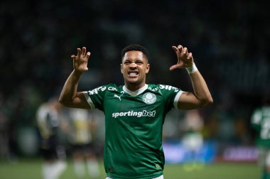 Sao Paulo (SP), 06 / 11 / 2025 - Vitor Roque, Brezilya futbol şampiyonasının 32. turu (ronaldo barreto / theenews2) için Palmeiras ve Santos arasındaki maçtaki golünü kutluyor)