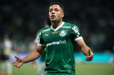 Sao Paulo (SP), 06 / 11 / 2025 - Vitor Roque, Brezilya futbol şampiyonasının 32. turu (ronaldo barreto / theenews2) için Palmeiras ve Santos arasındaki maçtaki golünü kutluyor)