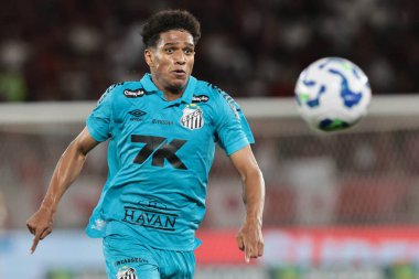 Rio de Janeiro (RJ), 09 / 11 / 2025 - Flamengo ve Santos arasındaki maç, bu Pazar, 9 Kasım 2025 tarihinde Rio de Janeiro şehrindeki Maracana Stadyumu 'nda düzenlenen 2025 Brezilya Şampiyonası için geçerli. (pedro paulo diaz\ yeni2)