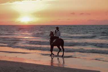 Gazzeliler, 13 Kasım 2025 