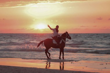 Gazzeliler, 13 Kasım 2025 