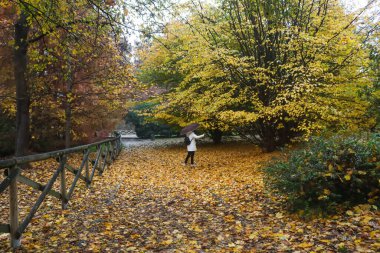 Milan (İtalya), 11 / 15 / 2025 - Cumartesi günü Milano 'da soğuk ve yağmurlu bir sonbahar günüydü. 15 Kasım 2025 günü öğleden sonra Parco Sempione ve çevresindekiler (Edson de souza / thenews2 )