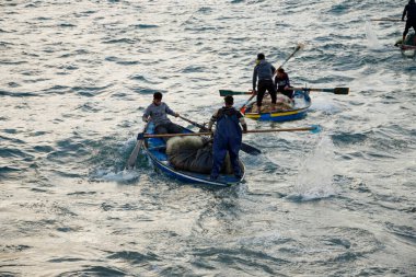 Balıkçılar, hava bunalımı sırasında Gazze Limanı 'ndaki günlük geçim kaynaklarını aramak için dalgalara göğüs gerdi ve soğuktu. 16 Kasım 2025, Gazze, Filistin (mohammed skaik / the new ws2)