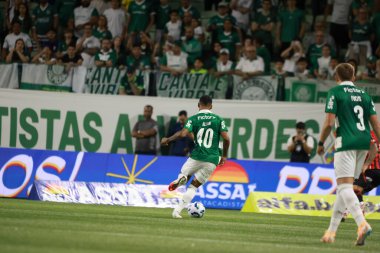 Sao Paulo (SP), 11 / 19 / 2025 - Palmeiras ve Vitoria arasındaki maçta Brezilya futbol şampiyonasının 37. turu için Allan ve Bruno Fuchs (leco viana / theenews2)