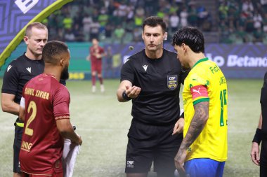 Sao Paulo (SP), 11 / 22 / 2025 - Brasileirao / Palmeiras vs Fluminense - Hakem Jonathan Benkenstein Pinheiro (RS), Palmeiras ve Fluminense arasında oynanan maçta Brezilya futbol şampiyonasının 35. turu için mücadele etti. (leco viana\ yeni2))