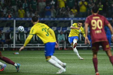 Sao Paulo (SP), 11 / 22 / 2025 - Brezilya futbol şampiyonasının 35. turu için Palmeiras ve Fluminense arasındaki maç, 22 Kasım 2025 Cumartesi gecesi Allianz Parque 'da. (ronaldo barre to\ the new 2)