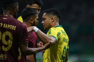 Sao Paulo (SP), 11 / 22 / 2025 - Palmeiras ve Fluminense arasında oynanan maçta Vitor Roque, 22 Kasım 2025 Cumartesi gecesi Brezilya futbol şampiyonasının 35. turu için mücadele etti. (ronaldo barre to\ the new 2)