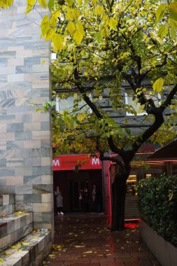 Milan (İtalya), 11 / 24 / 2025 - Soğuk / Yağmurlu / Sonbahar / Milano - Pazartesi, sıcaklığın Milano ve turistleri daha sıcak giyinmeye ve kapalı yerler aramaya ittiği Milano şehrinde yağmurlu ve çok soğuktu. (Edson de souza 2nci bölüm)) 