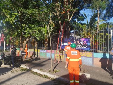 Sao Paulo, Brezilya, 10 / 12 / 2025 Sao Paulo belediye binası çalışanları, ağaçların bu Çarşamba sabahı sert rüzgarlar nedeniyle devrilmesinin ardından Casa de Cultura M Boi Mrim 'de ağaç temizliği ve budamayı gerçekleştirdiler (leandro chemalle / thenews2))