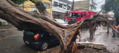 Sao Paulo (SP), Brezilya 12 / 27 / 2025 - 185 Javari Caddesi 'ndeki araçların üzerine düşen ağaç, Mooca bölgesinde meydana gelen fırtına nedeniyle 1600 Presidente Wilson Caddesi ile 600 Wilson Costa Caddesi arasında, Sao Paulo (oslaim brito / thenews2)